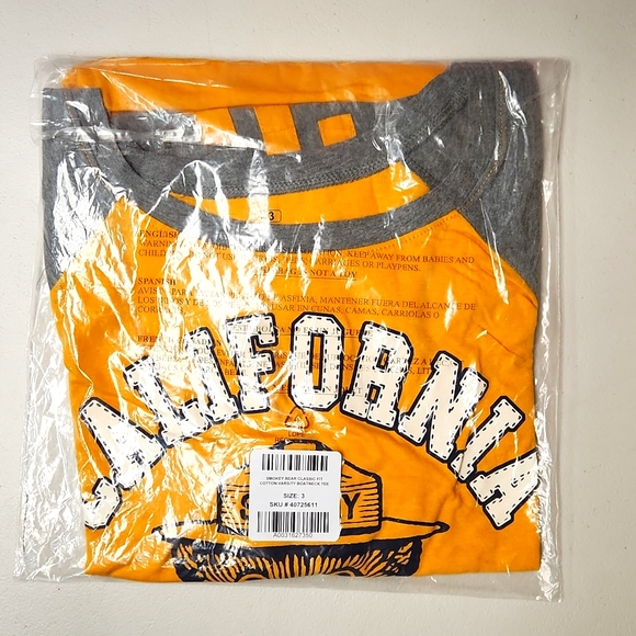 ❤️NWT VINTAGE TORRID TEE SMOKEY BEAR CALIFORNIA PREVENT WILDFIRES SHIRT PLUS - Picture 6 of 11